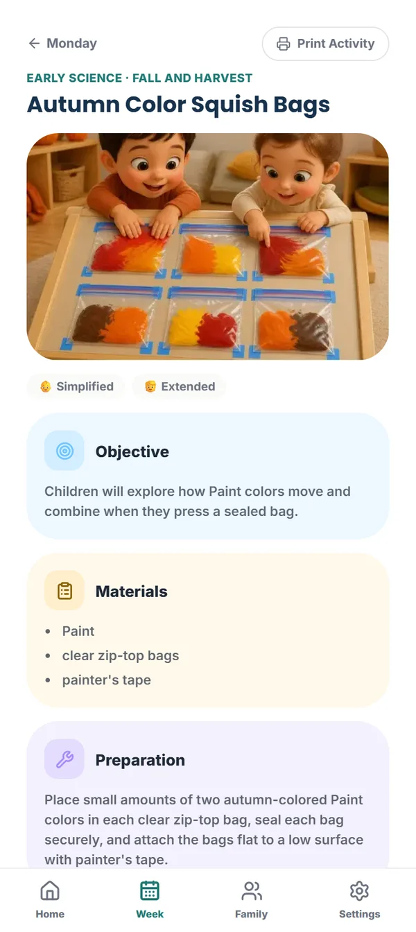 Activity detail: objective, materials, preparation and steps in color-coded cards